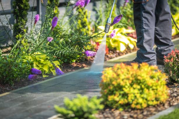 Best Building Exterior Washing  in Garden City Park, NY